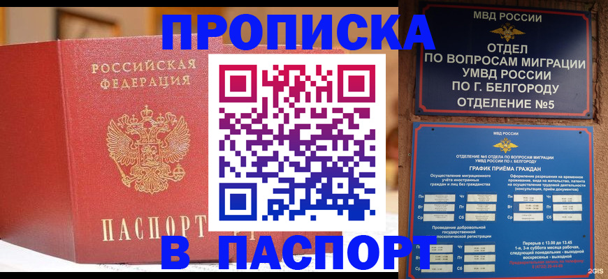 временная регистрация в квартире в Ярославской области
